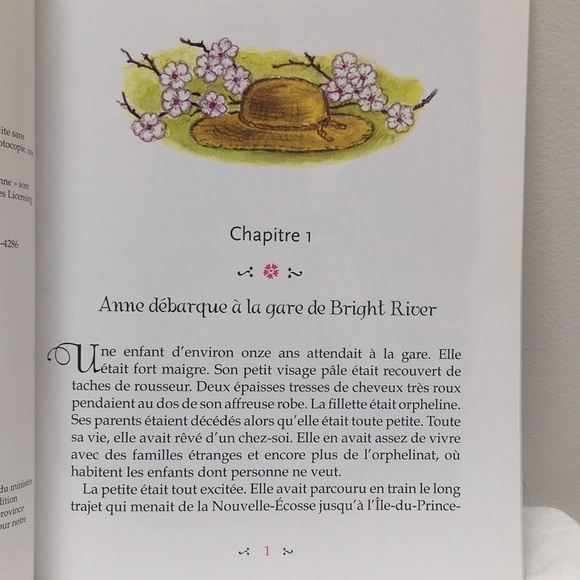 12’’ Ann of Green Gables doll + book - Picture 4 of 4